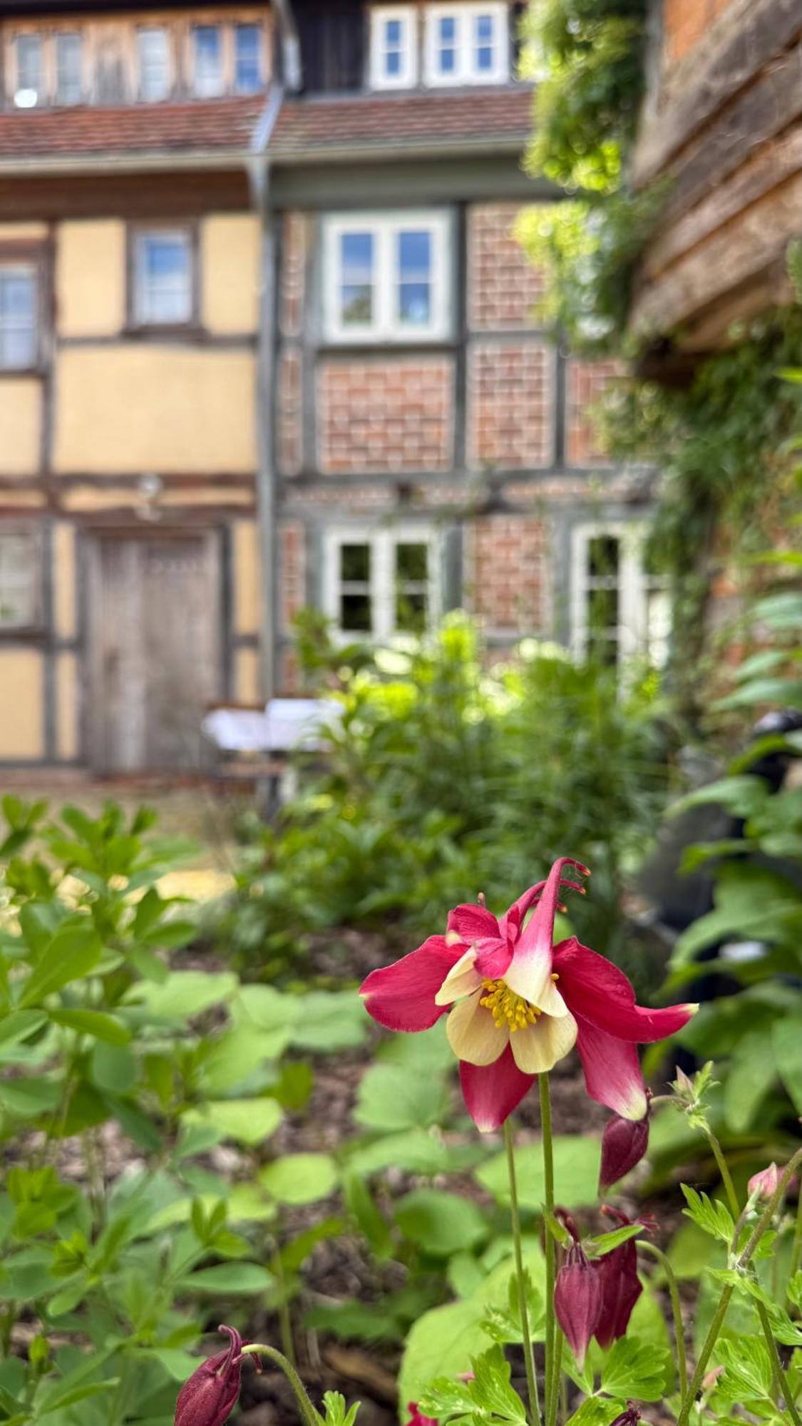 Ferienhaus St. Johannis Werben  Exterior foto